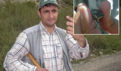 Keşfine verdiği isim herkesi şaşkına çevirmişti! Sosyal medyada gündem olan akademisyen: Linçleneceğimi bilerek bu kararı verdim