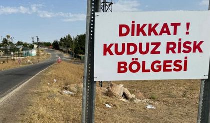 Hatay'da 4 mahalle kuduz nedeniyle karantinaya alındı
