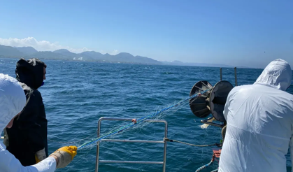 Karadeniz'de kaçak bırakılan 44 bin metre ağ toplandı
