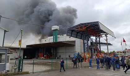 Sakarya'da fındık kırım fabrikasında çıkan yangına müdahale ediliyor