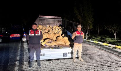 Van'da kaçak inci kefali avlayan 15 kişiye 216 bin 905 lira ceza verildi