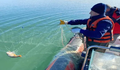 Çorum'da kaçak avcıların bıraktığı ağ bulundu