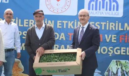 Malatya'da çiftçiye fide desteği başladı