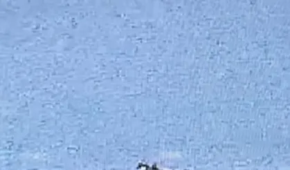 Adana'da yangın söndürme uçağı düştü