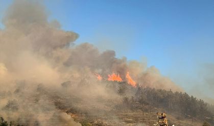 Antalya'da çıkan orman yangını söndürülmeye çalışılıyor