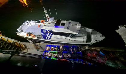 Samsun'da kaçak avlanan 6 ton kalkan balığı ele geçirildi