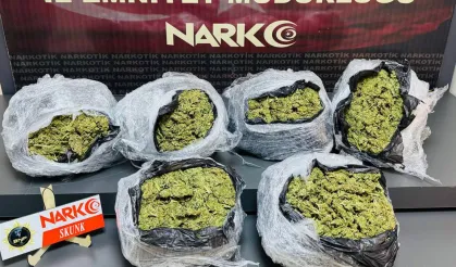 Bitlis’te salça kutusunda 6 kg skunk ele geçirildi