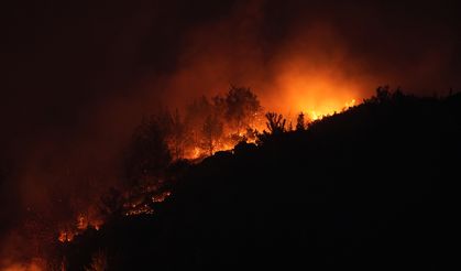 İzmir'de çıkan orman yangınlarına müdahale sürüyor