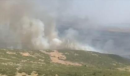 İzmir'de ziraat arazilerinde yangın çıktı