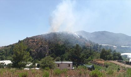 Mersin'de orman yangını kontrol altına alındı