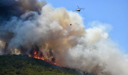 Eskişehir'de çıkan orman yangınına müdahale