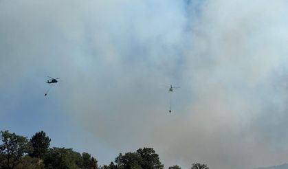 Afyonkarahisar’da yangına karadan ve havadan müdahale