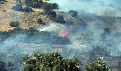 Aydın'da çıkan yangın soruşturmasında baba ve oğul gözaltında