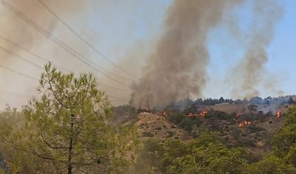 Denizli'nin Çal ilçesinde orman yangını çıktı