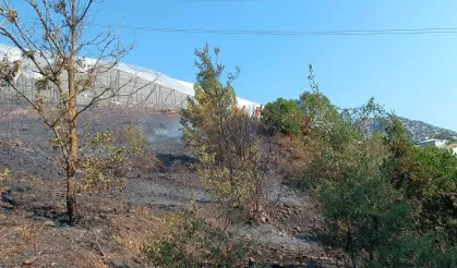 Alanya'da ormanlık alanda çıkan yangına müdahale ediliyor