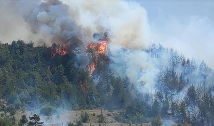 Bilecik'te çıkan yangına müdahale ediliyor