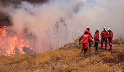 Bursa'da orman yangınına müdahale 4. gününde sürüyor