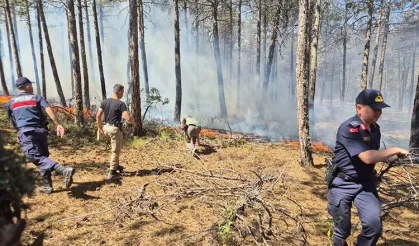 Eskişehir'de çıkan orman yangınına müdahale sürüyor