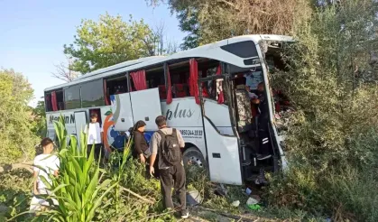 Konya'da yolcu otobüsü ağaçlara çarptı