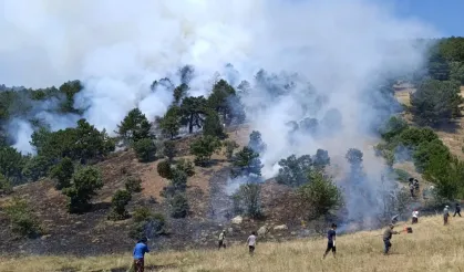 Konya'da orman yangınına müdahale sürüyor