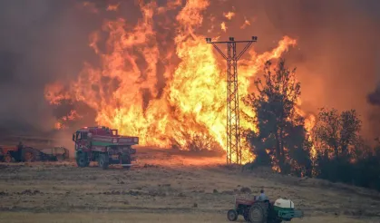 Sakarya'dan Bilecik'e sıçrayan yangına müdahale sürüyor