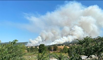 Sakarya'daki yangın Bilecik'e sıçradı