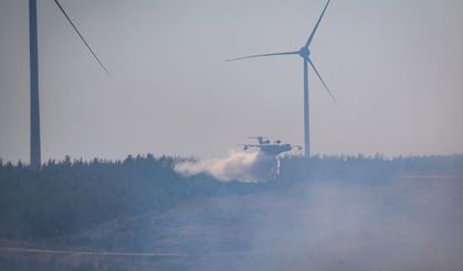 Çanakkale'de çıkan orman yangınına müdahale ediliyor