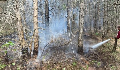 Bolu'daki  yangında soğutma çalışmaları sürüyor