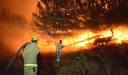 Çanakkale'de çıkan orman yangınına müdahale sürüyor