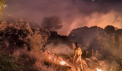 Diyarbakır'da ormanlık alanda çıkan yangın söndürüldü