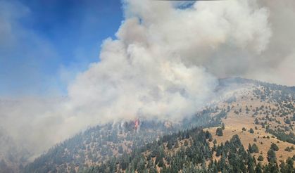 Kahramanmaraş'ta çıkan orman yangınına müdahale ediliyor