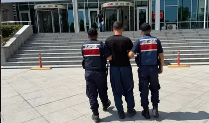 Bolu'daki orman yangınına ilişkin 1 zanlı tutuklandı