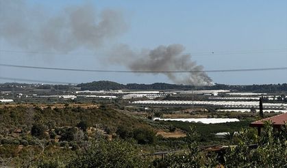 Manavgat'ta tarım arazisindeki yangın ormana yayıldı