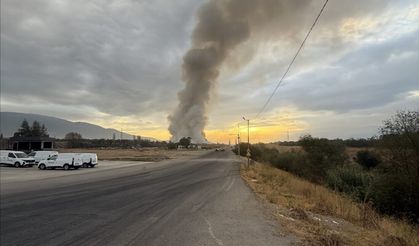 İzmir’de atık alanında çıkan yangına müdahale ediliyor