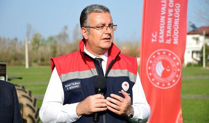 Samsun'da kahverengi kokarcaya karşı kışlak mücadelesi sürüyor