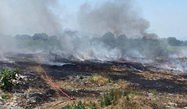 Düzce'de çöplük alanda çıkan yangın buğday ve mısır tarlalarına sıçradı