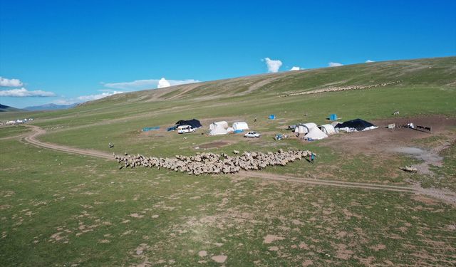 Erzurum'un karlı yaylaları göçer aileleri ağırlıyor