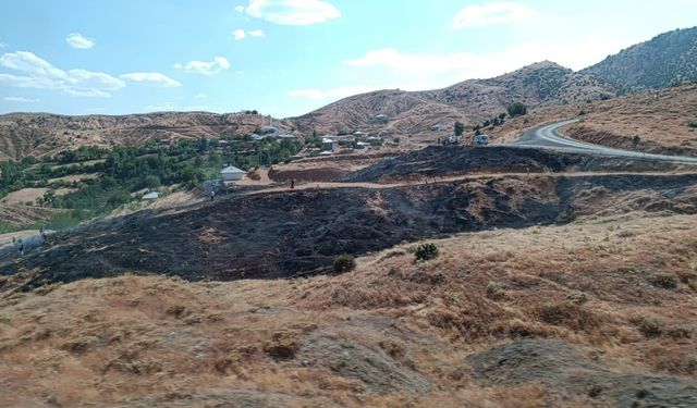 Bingöl'de çıkan orman ve örtü yangınları söndürüldü