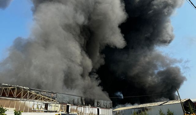 Bursa'da fabrika ve geri dönüşüm tesisinde çıkan yangına müdahale ediliyor