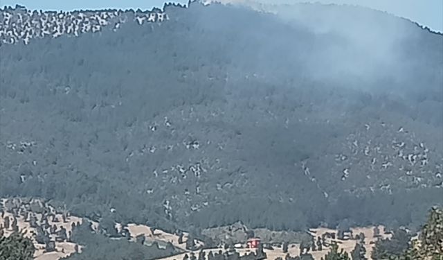 Bursa'da ormanlık alanda çıkan yangına müdahale ediliyor