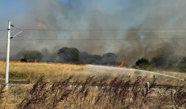 Avcılar'da otluk ve ağaçlık alanda yangın çıktı