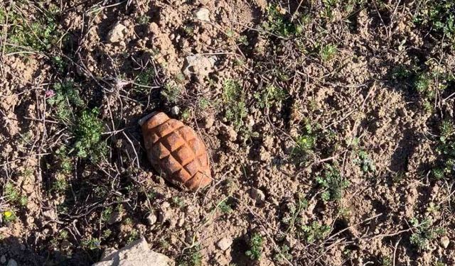 Adana'da toprağa gömülü 4 el bombası bulundu