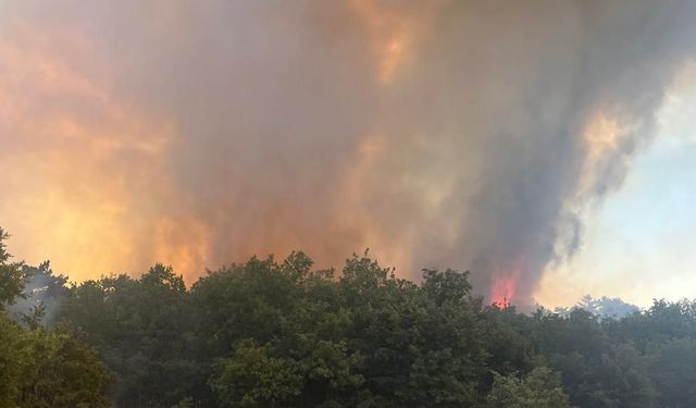 Eskişehir'de orman yangınına helikopterle müdahale ediliyor