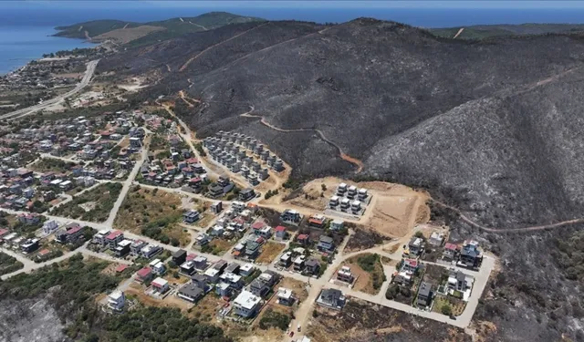 İzmir ve Bilecik yangın mağdurları için afet bölgesi ilan edildi