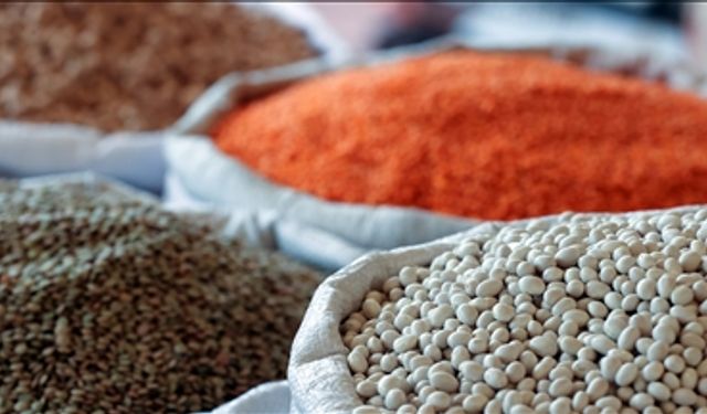 Türkiye'de 45 ilde ihracat arttı