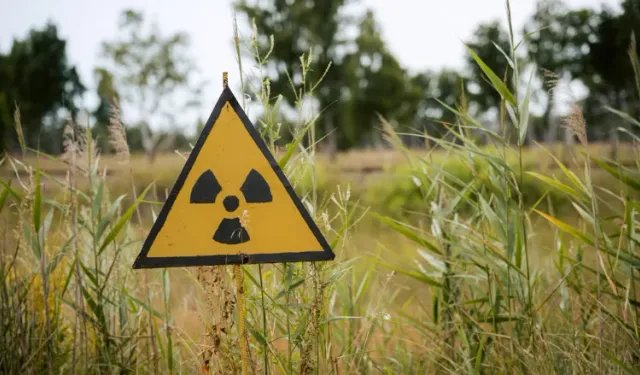 Endonezya tarım ihracatında radyoaktif madde alarmı