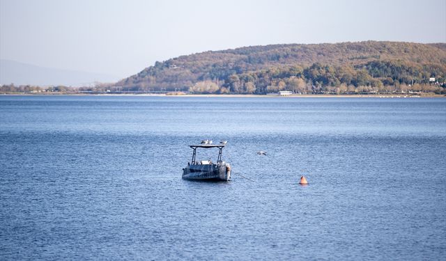 Sapanca Gölü'nde su stresini azaltmak için tedbirler artırıldı