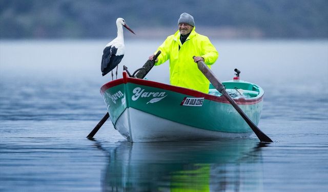 Yaren leylek yuvasının bulunduğu Bursa'ya 15'inci yılında da geldi