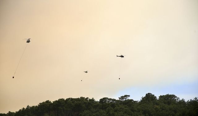 Muğla'nın Seydikemer ilçesinde çıkan orman yangınına müdahale ediliyor