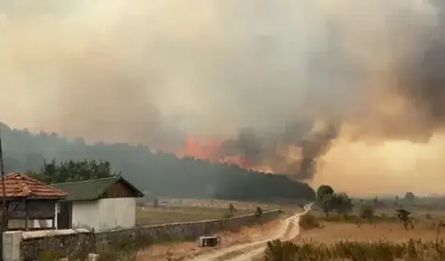 Ankara'da çıkan ot yangınına havadan ve karadan müdahale ediliyor